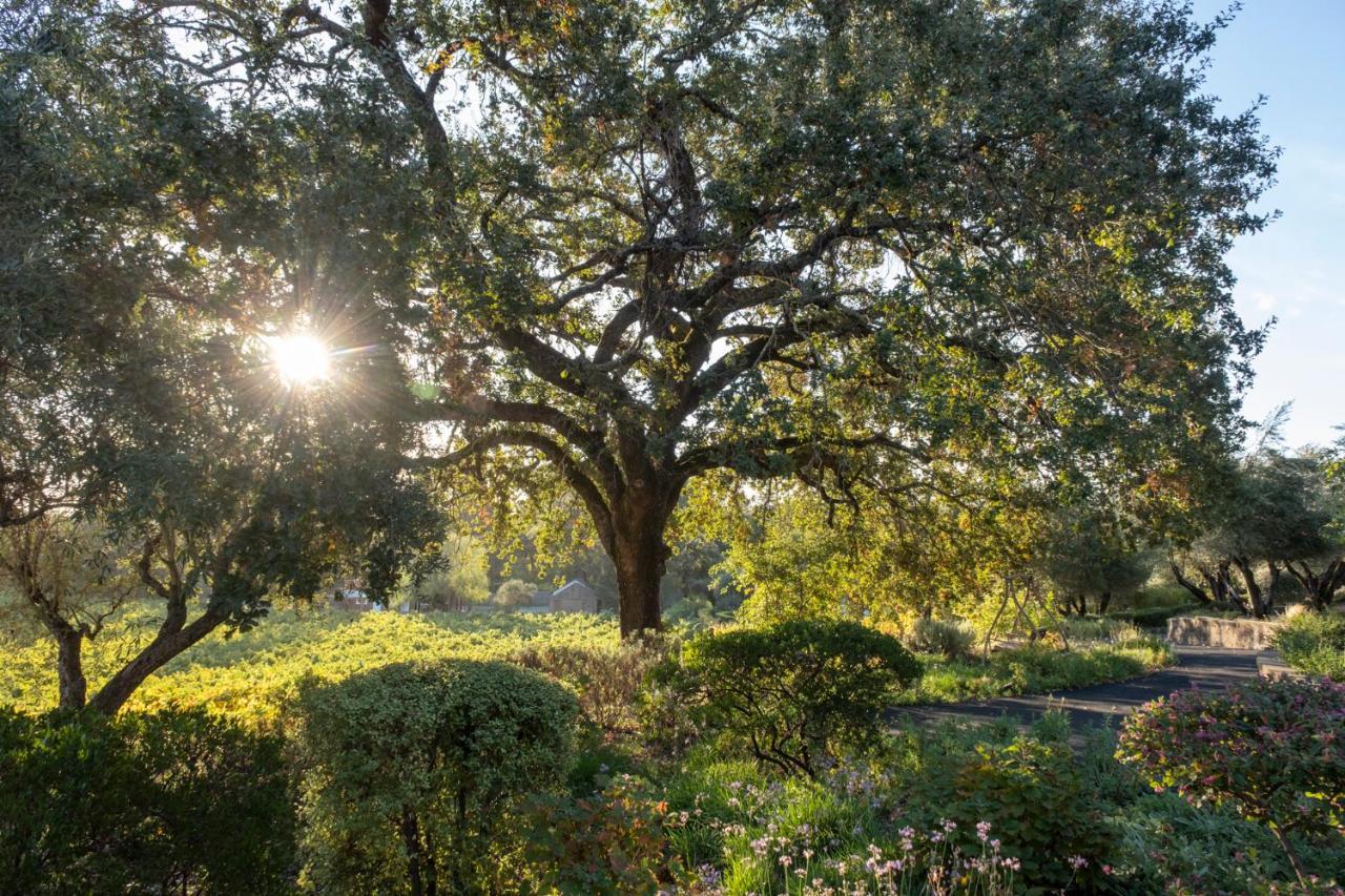 Wine Country Inn Napa Valley St. Helena Exterior foto